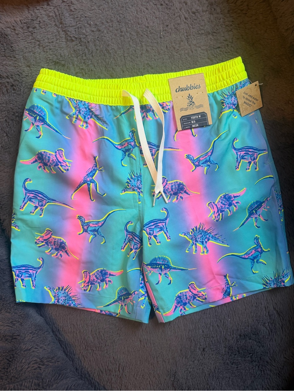Chubbies Neon Dinosaur Swim Trunks